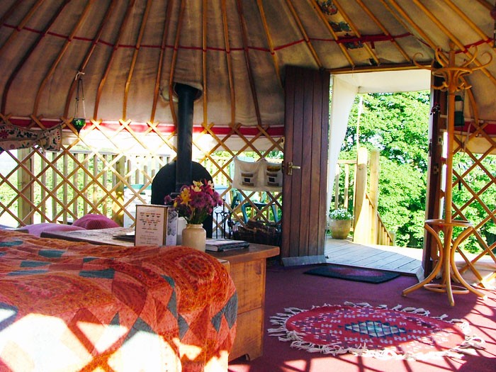 1. yurt in the paddock - showing clear roof crown - let the sun shine through